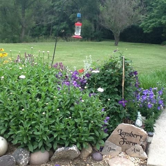 Meet your Posher, Ava - Picture 1 of 1